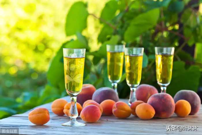清凉解渴的杏子酒，芒种时分，果肉浓郁，夏天喝上一口超级爽口